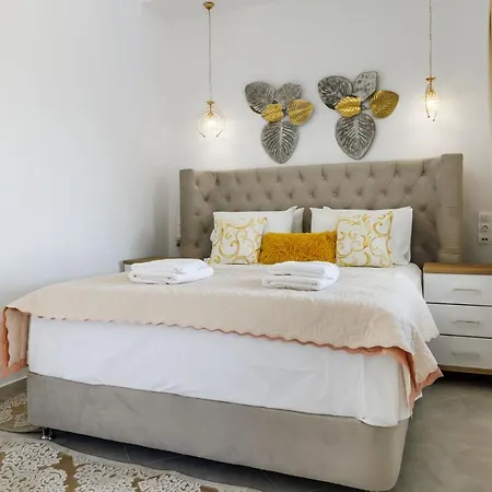 Villa Ameli Neo Klima